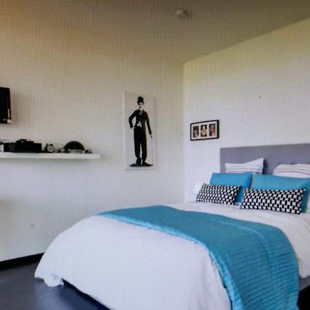 Studio Avec Terrace Docks ستراسبورغ المظهر الخارجي الصورة
