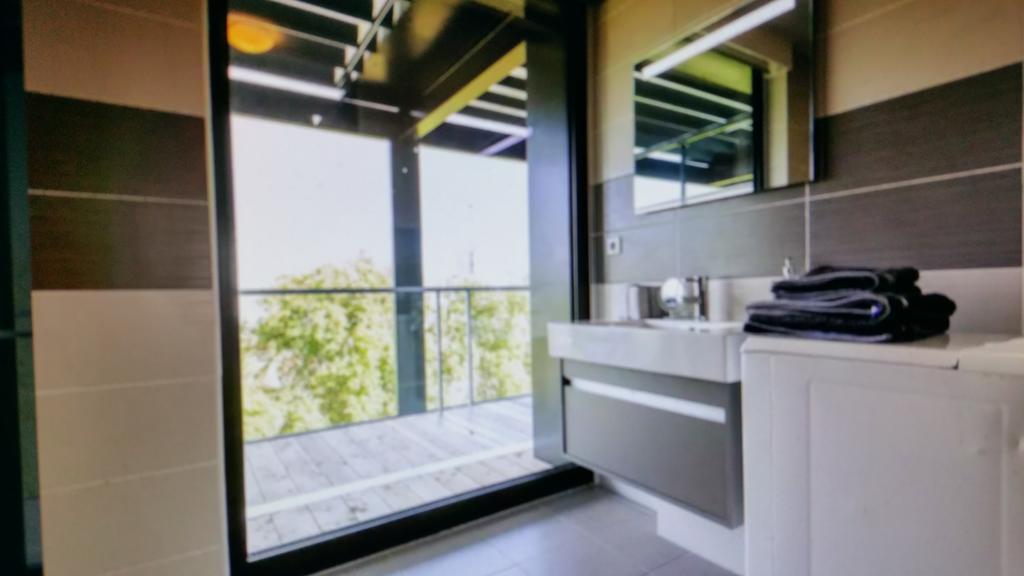 Studio Avec Terrace Docks ستراسبورغ المظهر الخارجي الصورة