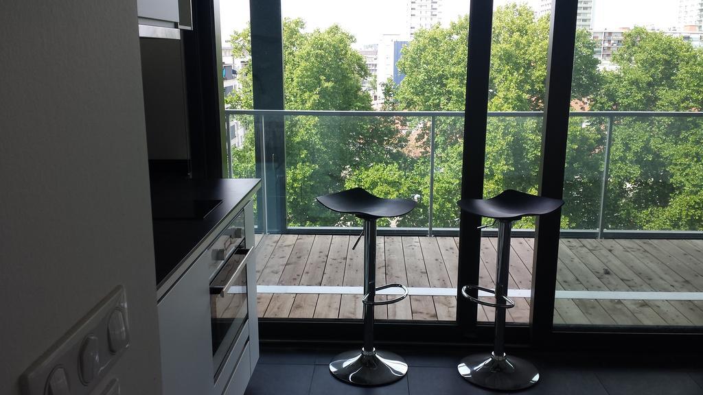 Studio Avec Terrace Docks ستراسبورغ المظهر الخارجي الصورة